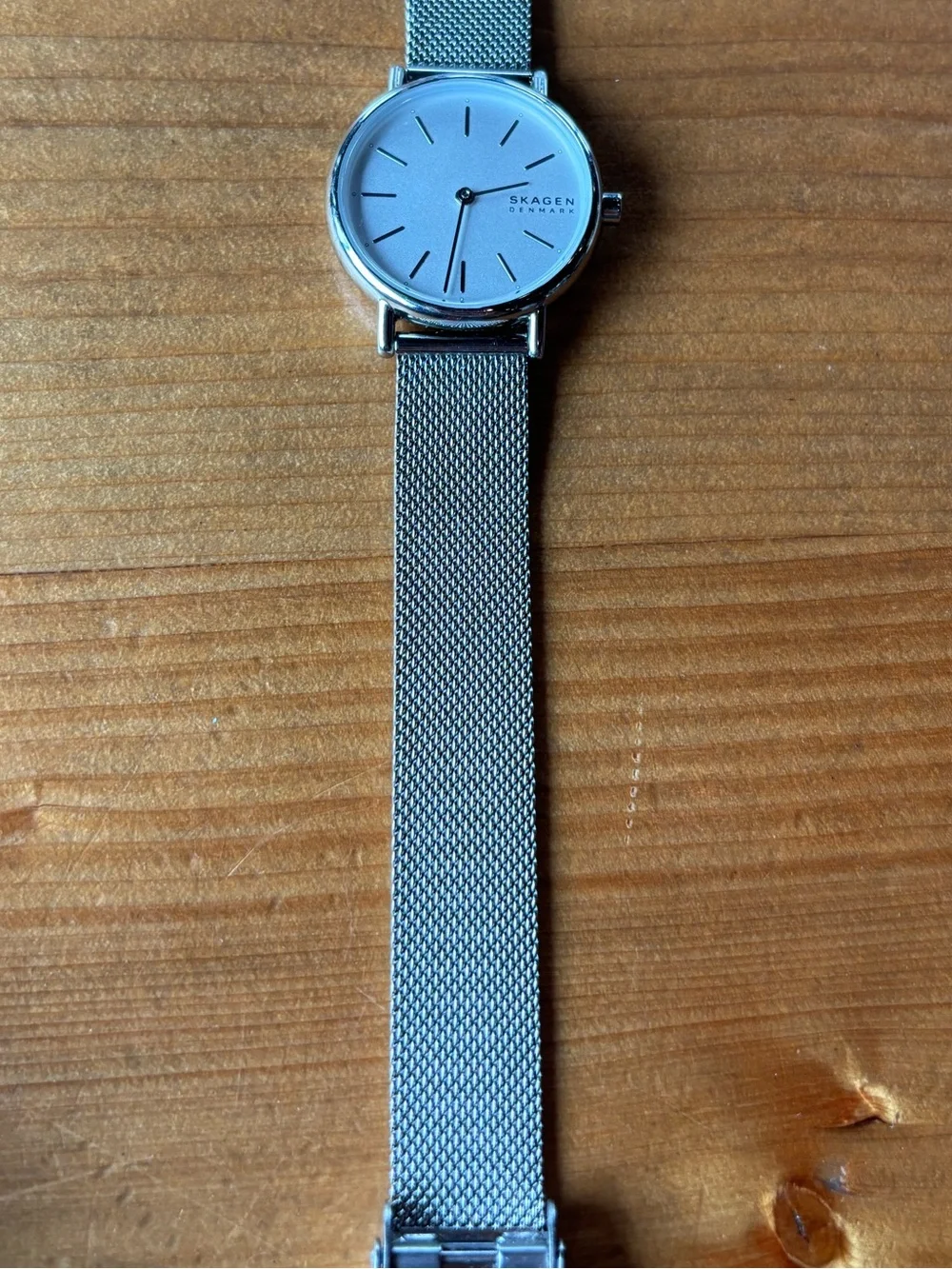 Skagen men watch